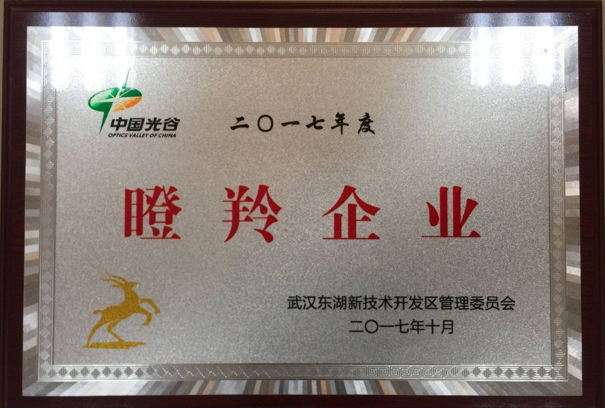 公司荣誉